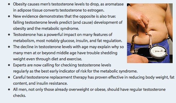 Low_Testosterone_Promotes_Abdominal_Obesity_in_Aging_Men_-_Life_Extension