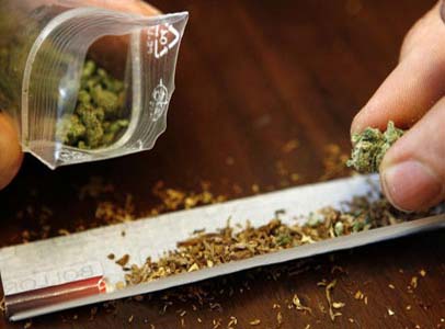 Cannabis